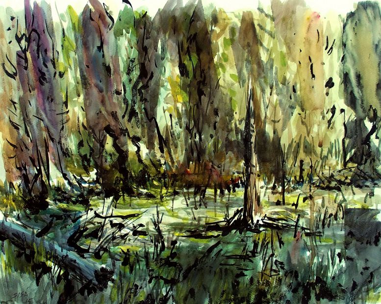 DONAUAU, Aquarell-Tusche, 50 x 64 cm